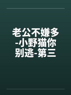 老公不嫌多-小野猫你别逃-第三部 大家和睦相处吧 102.单选？多选？还是不选？封面