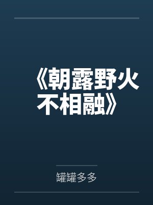 《朝露野火不相融》封面