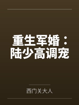 夏晚晴陆占霆封面
