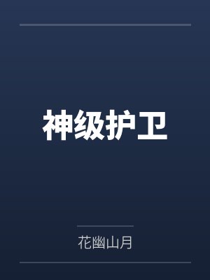 神级护卫封面