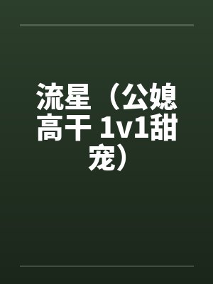 流星（公媳高干 1v1甜宠）封面