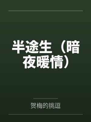 半途生(暗夜暖情)封面