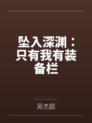 坠入深渊：只有我有装备栏封面